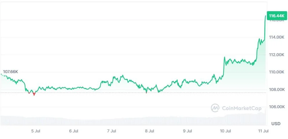 بیت کوین رکورد زد؛ دلیل رشد قیمت BTC امروز چیست؟ نمودار قیمت بیت کوین BTC Price chart